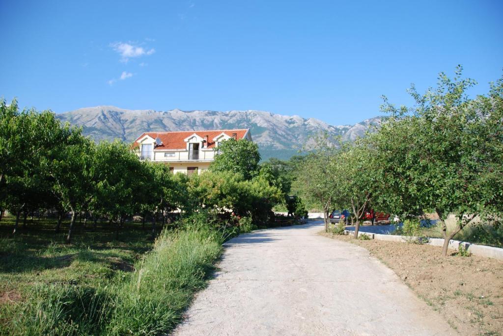 Apartments Ivetic Kotor Ngoại thất bức ảnh
